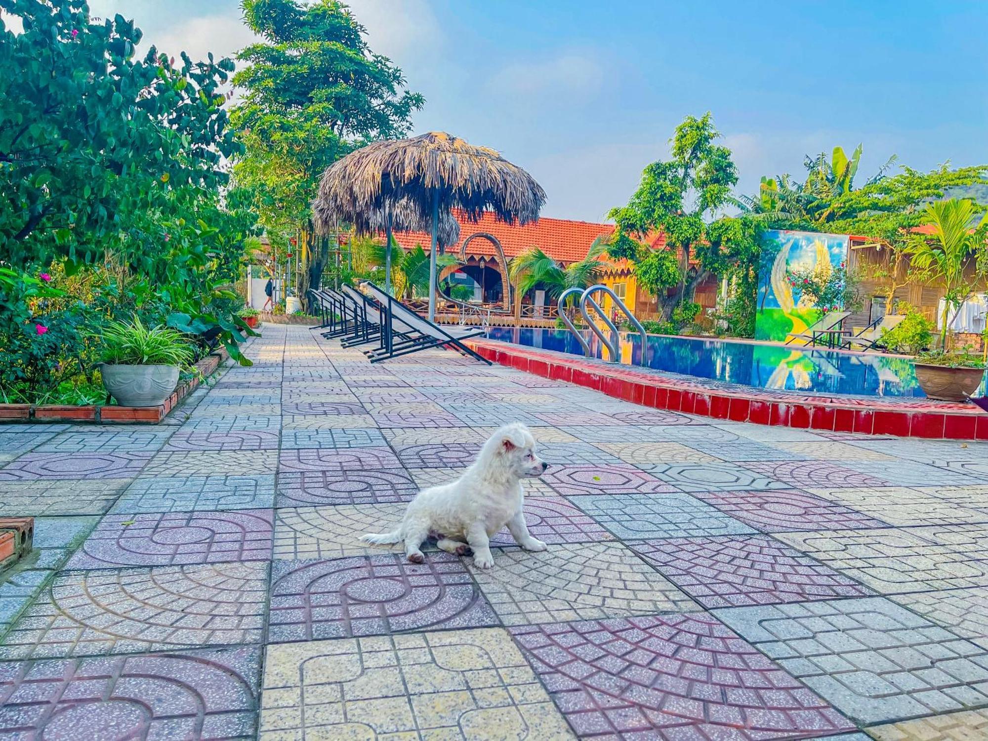 Trang An Quynh Trang Happy Homestay & Garden Ninh Binh Exterior foto